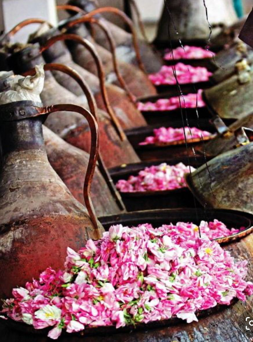 La ruta de la seda floral: cómo viajaron las flores por el mundo