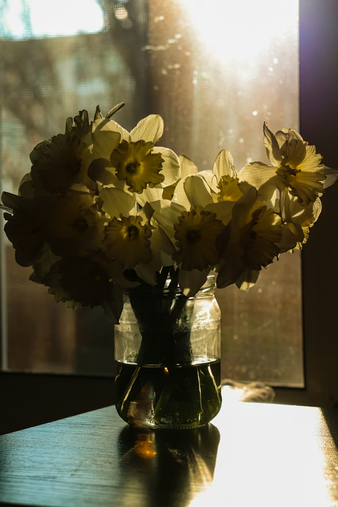 Cómo hacer que tus flores duren más: la guía definitiva